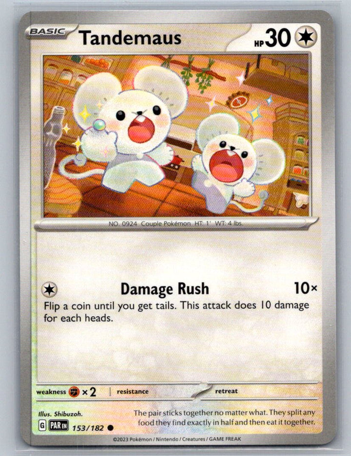 Tandemaus Common SV04: Paradox Rift 153/182 NM