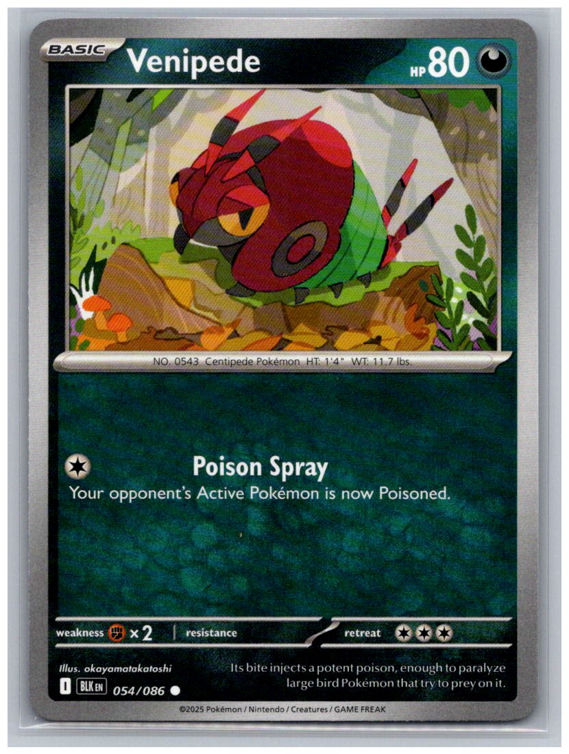 Venipede Common SV: Black Bolt 054/086 NM