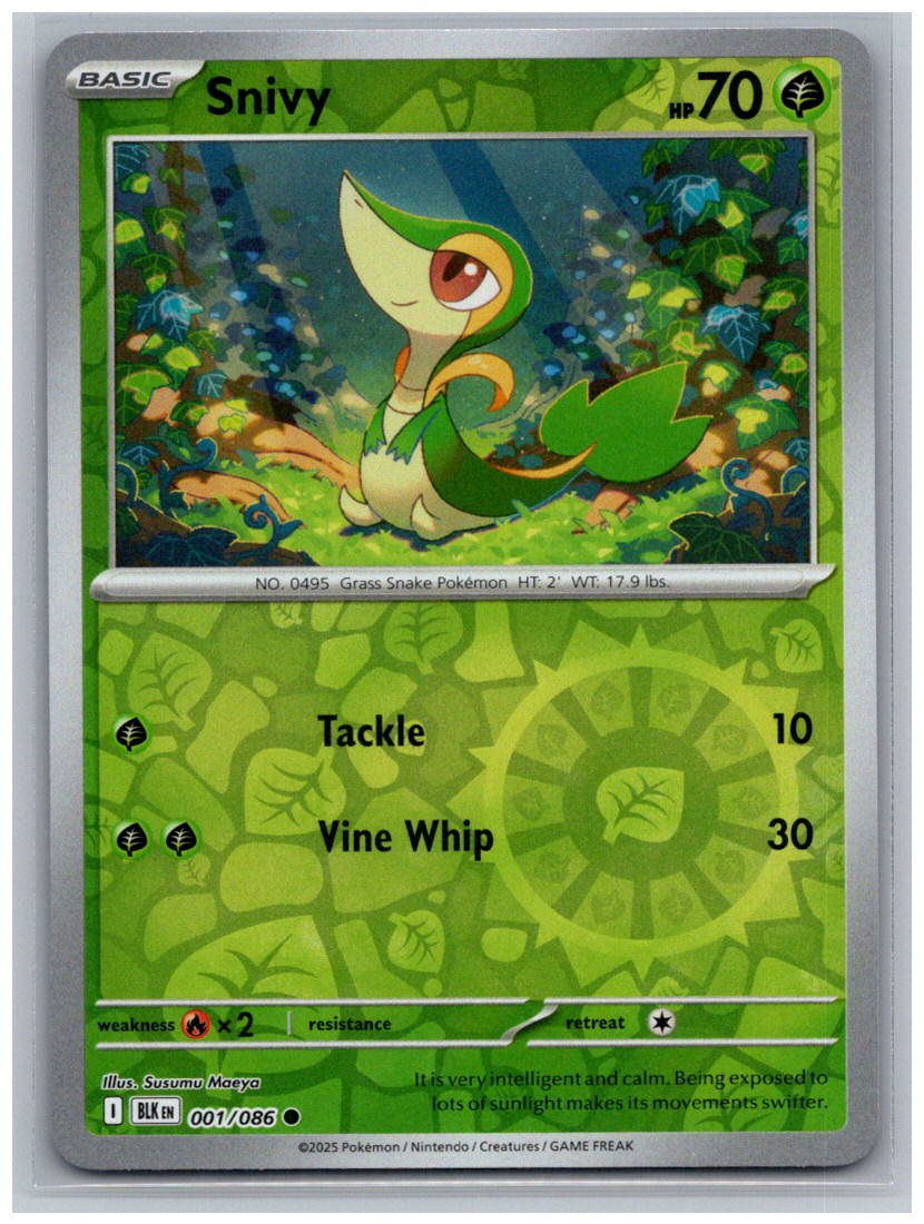 Snivy Reverse Holo Common SV: Black Bolt 001/086 NM