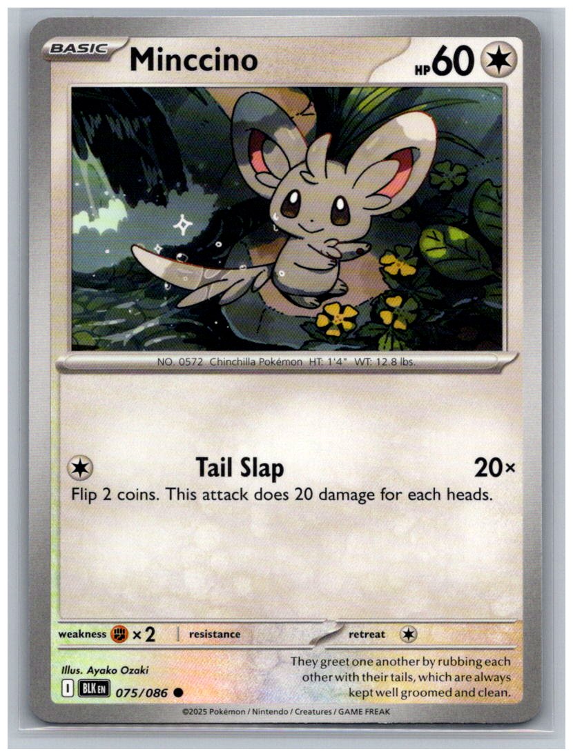 Minccino Common SV: Black Bolt 075/086 NM