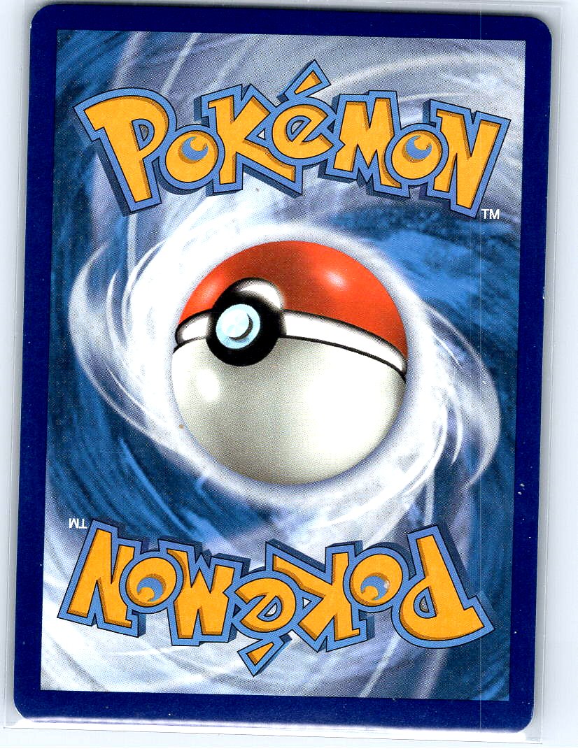 Dubwool V Holo Promo SWSH: Sword & Shield Promo Cards SWSH049 NM (Back)
