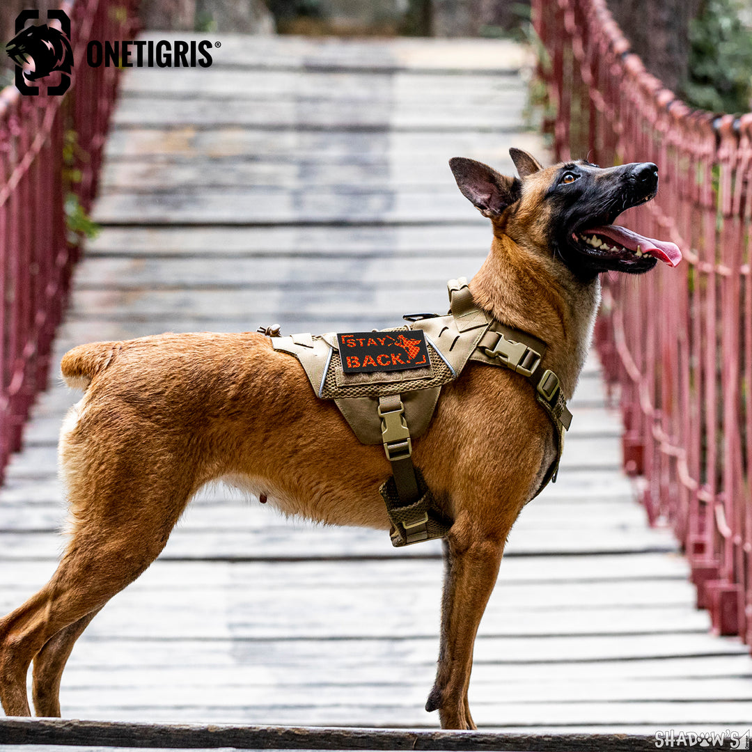 Dog Collar 12  OneTigris Tactical Dog Gear