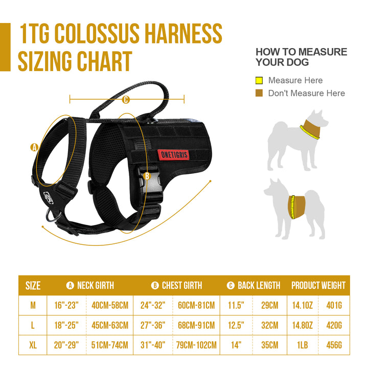 COLOSSUS Tactical Harness