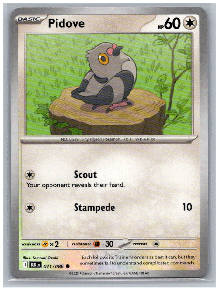 Pidove Common SV: Black Bolt 071/086 NM