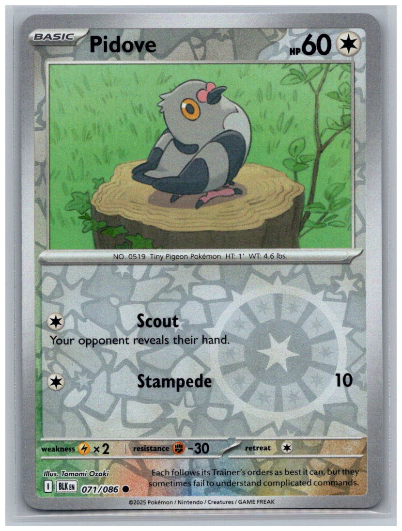 Pidove Reverse Holo Common SV: Black Bolt 071/086 NM