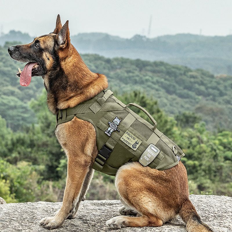 AIRE Mesh K9 Harness