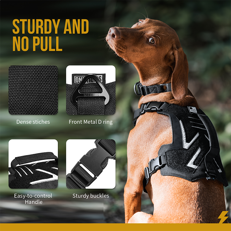 K9 harness mini clearance mini
