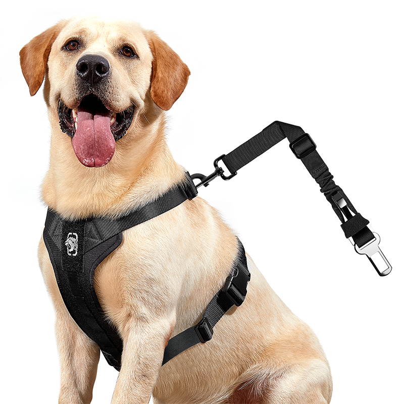 REX Car Dog Harness