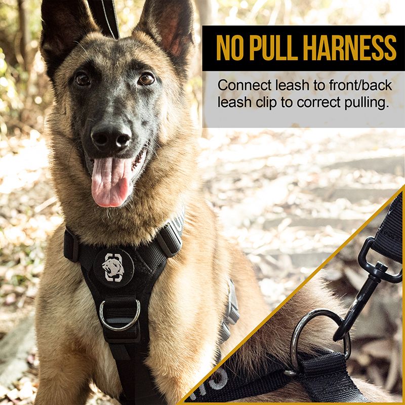 GOLIATH Dog Training Harness