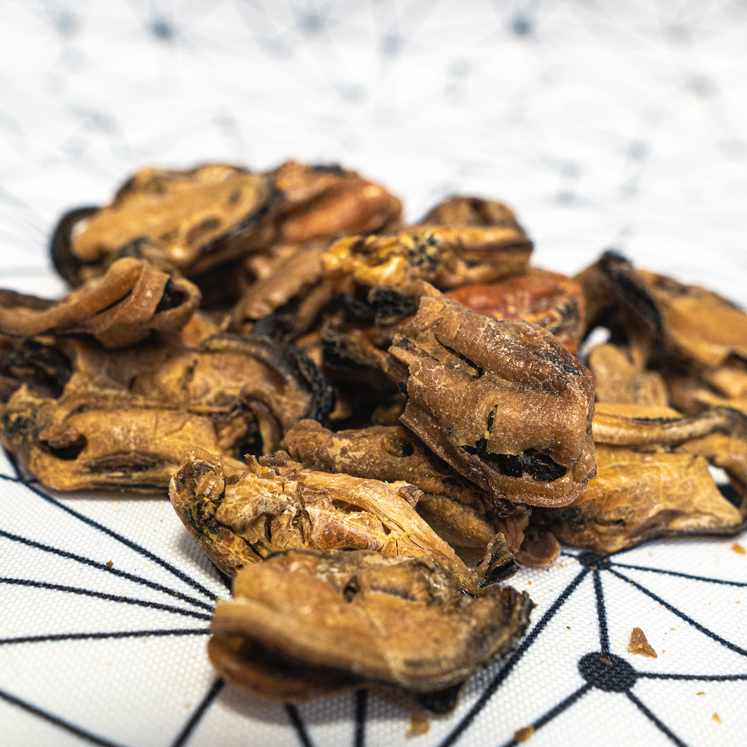 Seafood - Green Lipped Mussles